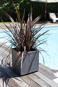 Pot carré GRAPHIT Gris anthracite 39.5x39.5x43.5cm 31L Double paroi FDS avec zone de rétention d''eau